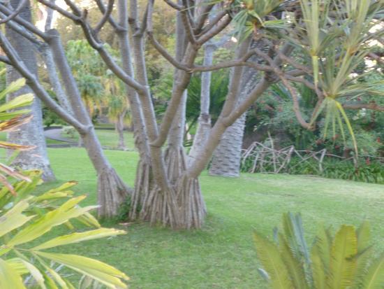 Quinta Magnolia Gardens